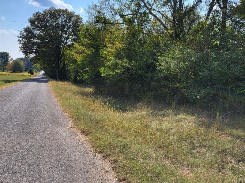 Winterboro Mini Farm with Homesite : Talladega : Talladega County : Alabama