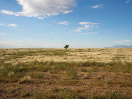 Investors' Dream, 0.50 Ac in NM : Los Lunas : Valencia County : New Mexico