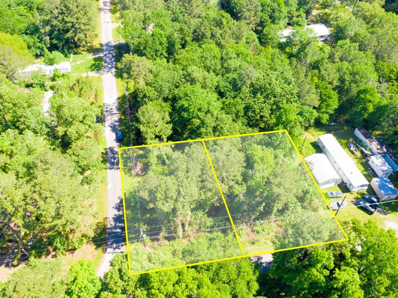 .29 Acre Corner Double Lot : Trinity : Trinity County : Texas