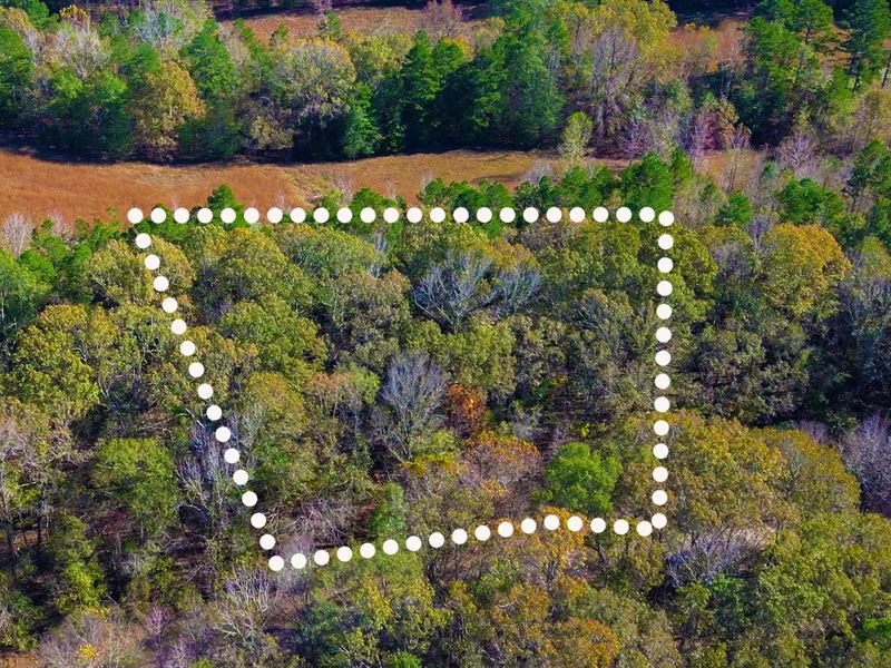 .62 Acre Only 5 Min to G.V. Lake : Memphis : Hardeman County : Tennessee