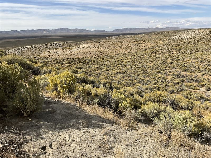 Become A Land Owner with 1.03 Acres : Ryndon : Elko County : Nevada