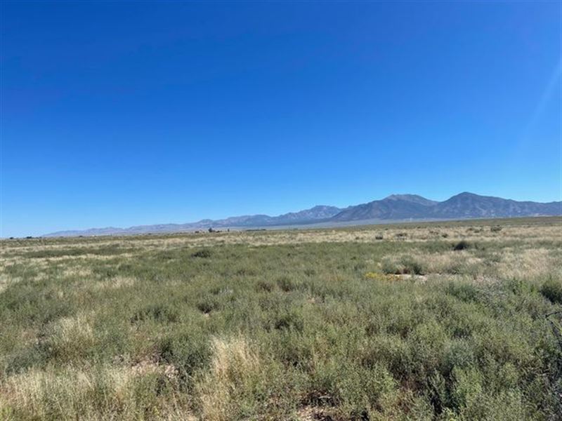 Enchanting 0.25 Acre Only $49/Mo : Meadow Lake : Valencia County : New Mexico