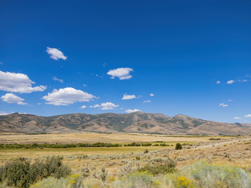 1.13 Ac Oasis in NV Only $149/Mo : Elko : Elko County : Nevada