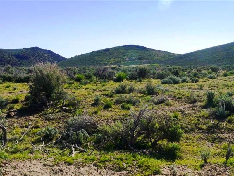 1.13 Acre Hideaway Only $149 Down : Elko : Elko County : Nevada