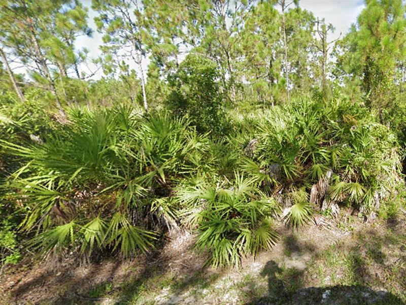 Enjoy 0.16 Acres Only $295 Monthly : Punta Gorda : Charlotte County : Florida