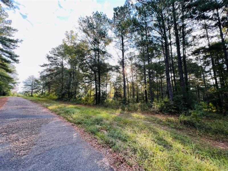 1.5 Acres / Tylertown, MS 39667 : Tylertown : Walthall County : Mississippi