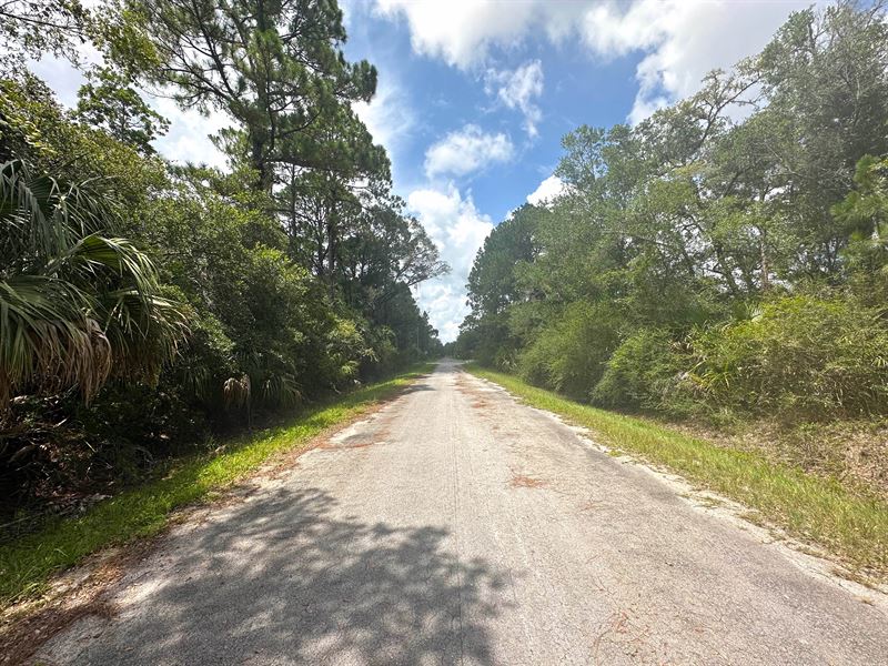 Power 177 Feet Away, Paved Road : Crystal River : Citrus County : Florida