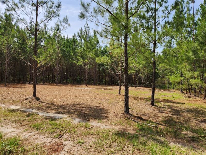Affordable Home Site : Milledgeville : Baldwin County : Georgia