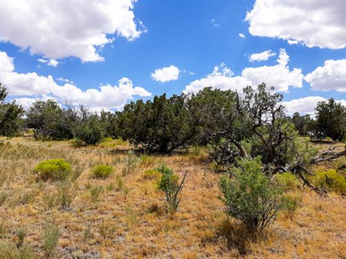 Create The Ideal Southwest Retreat : Sanders : Apache County : Arizona