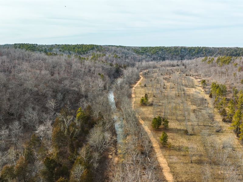 Paddy Creek Wilderness-Tract 1B : Roby : Texas County : Missouri
