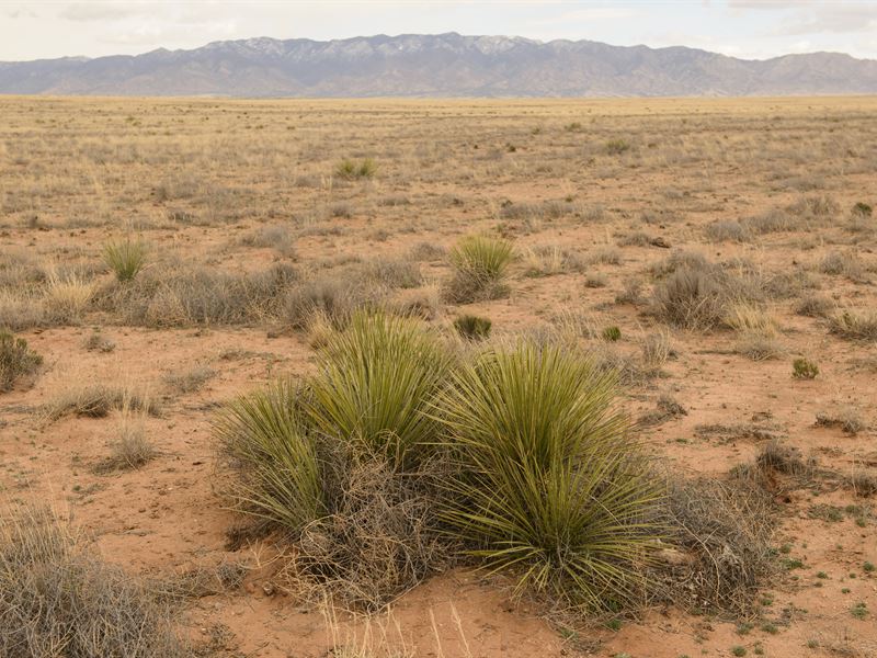Own It for Less Than A Car Payment : Los Lunas : Valencia County : New Mexico