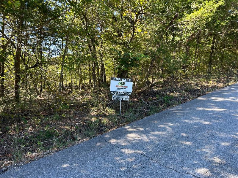 Holiday Island AR 72631 : Holiday Island : Carroll County : Arkansas