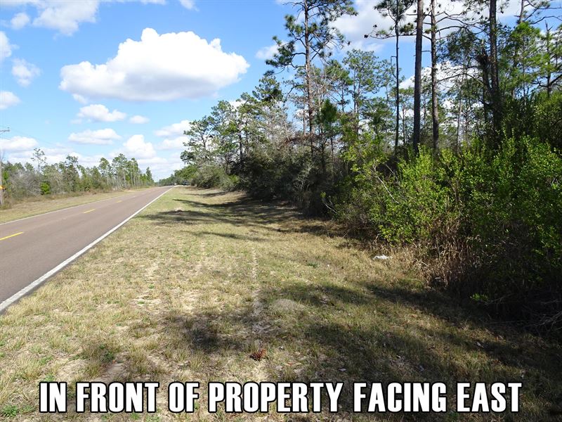 Spacious 8.8 Ac in Fountain, FL : Fountain : Calhoun County : Florida