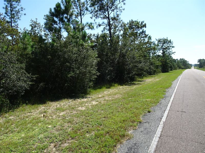4.8 Ac Vacant Lot in Fountain, FL : Fountain : Calhoun County : Florida
