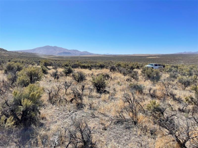 Elko County Wide Open Spaces : Ryndon : Elko County : Nevada