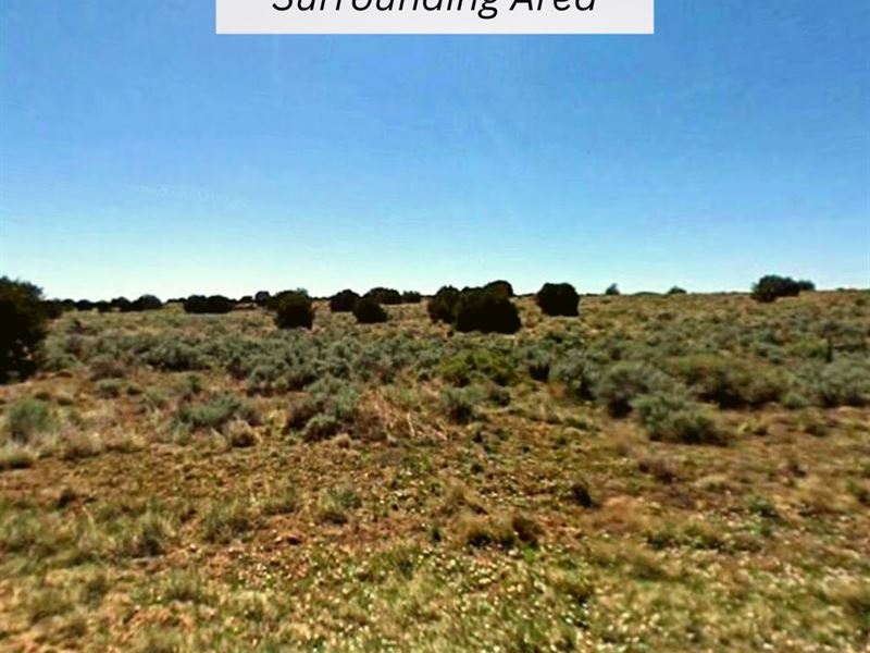 1.25 Acres Only 45 Min TO St. Johns : Saint Johns : Apache County : Arizona