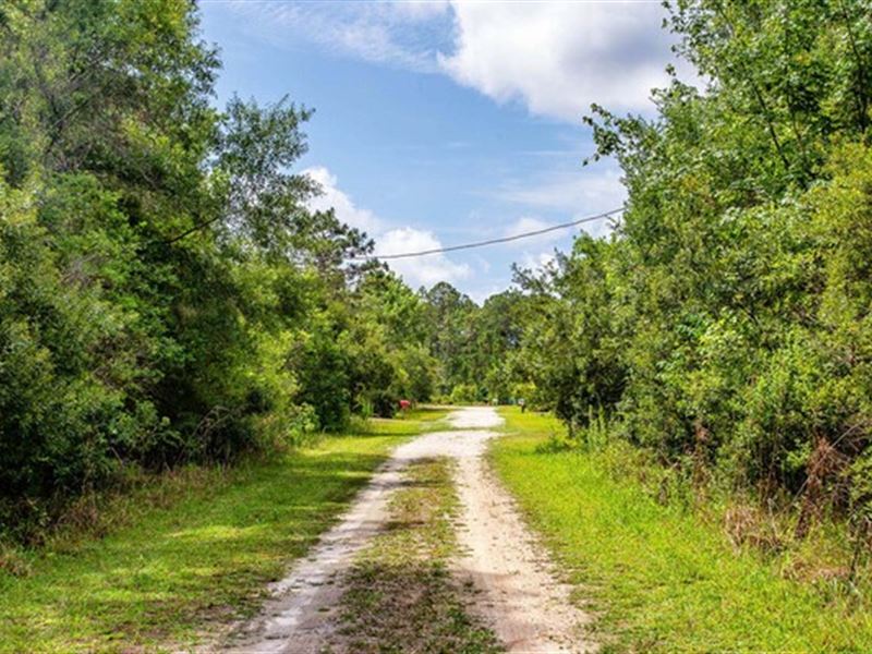 Vacant 0.22 Acre in FL $200/Mo : Interlachen : Putnam County : Florida