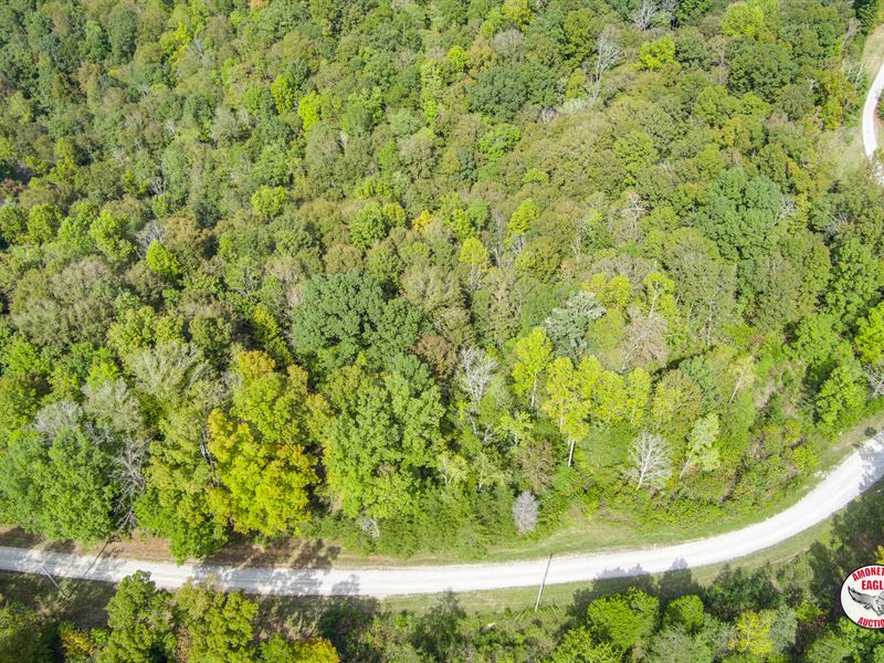 14.6+/- Acres in 9 Lots : Albany : Clinton County : Kentucky