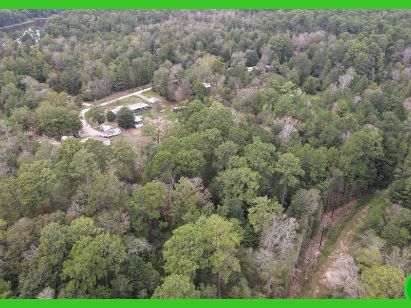 1.09 Acres of East Texas Land : Ivanhoe : Tyler County : Texas