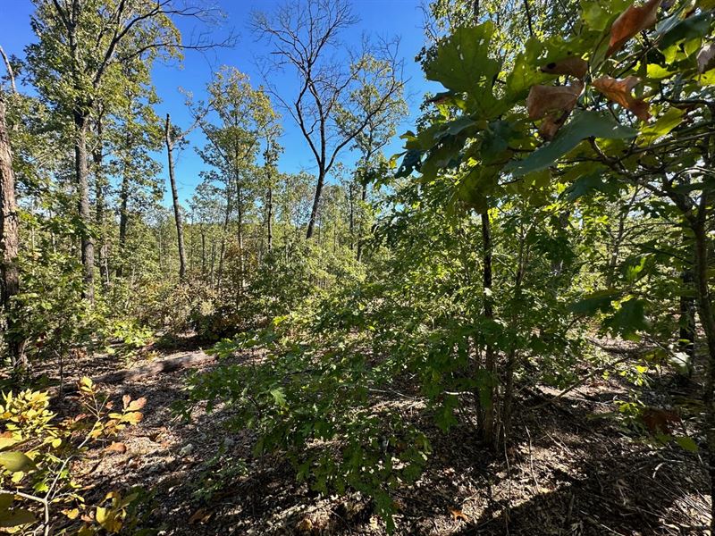 Elk Creek Acres-Tract 1B : Elk Creek : Texas County : Missouri