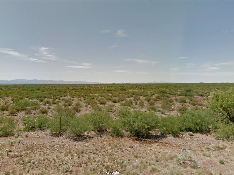 Prime 0.33 Acre Parcel : Douglas : Cochise County : Arizona