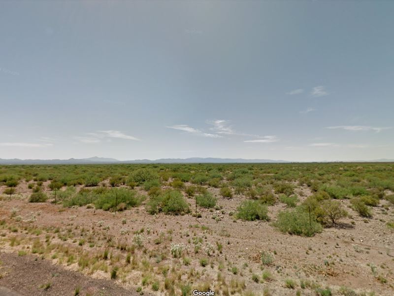 Ideal Arizona Oasis : Douglas : Cochise County : Arizona