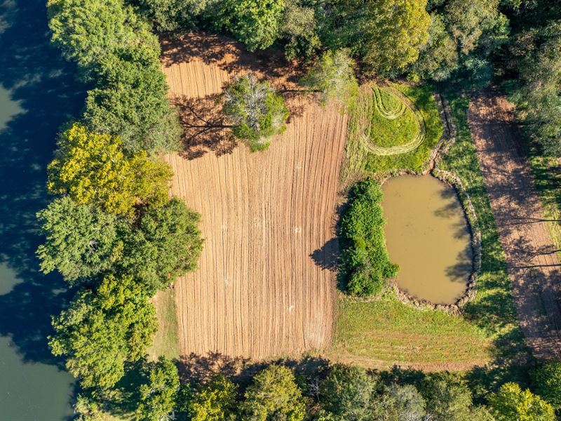 17 Ac Cash Flow Investment Oppo : Valley : Chambers County : Alabama