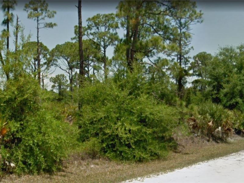 You Have Come to The Right Place : Punta Gorda : Charlotte County : Florida