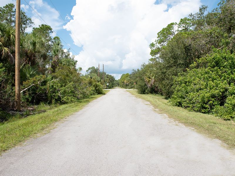 With Power & Paved Road Access : Port Charlotte : Charlotte County : Florida