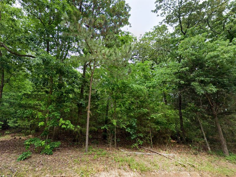 Unrestricted 1.4 Acre, Financing : Saluda : Saluda County : South Carolina