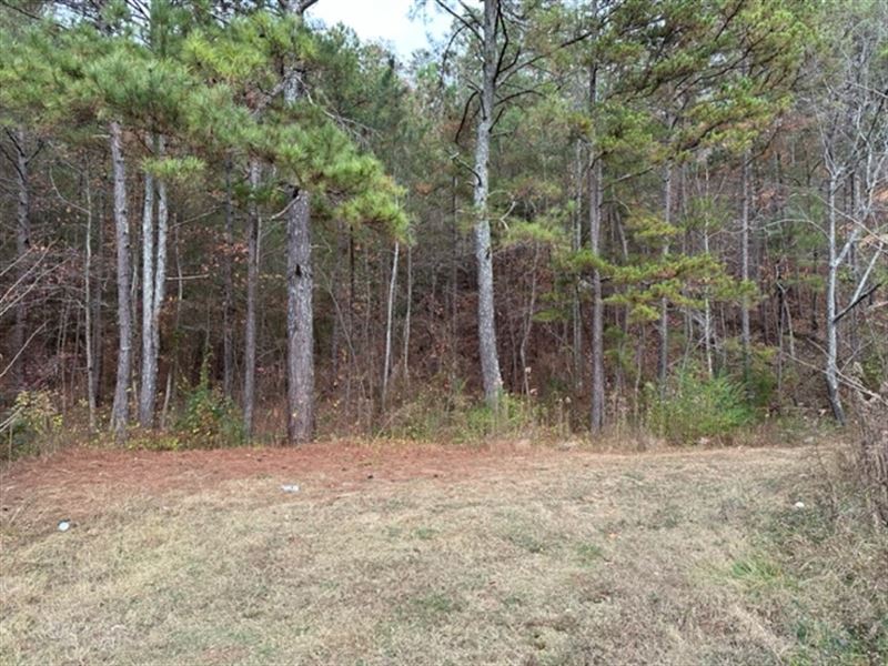 Beautiful Mountain Home Community : Cedartown : Polk County : Georgia