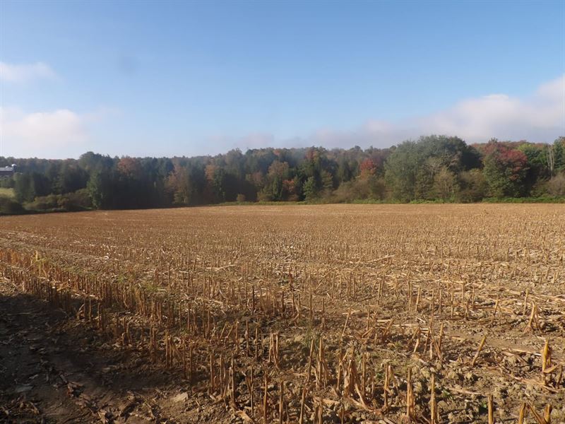 French Creek Homesite : Clymer : Chautauqua County : New York