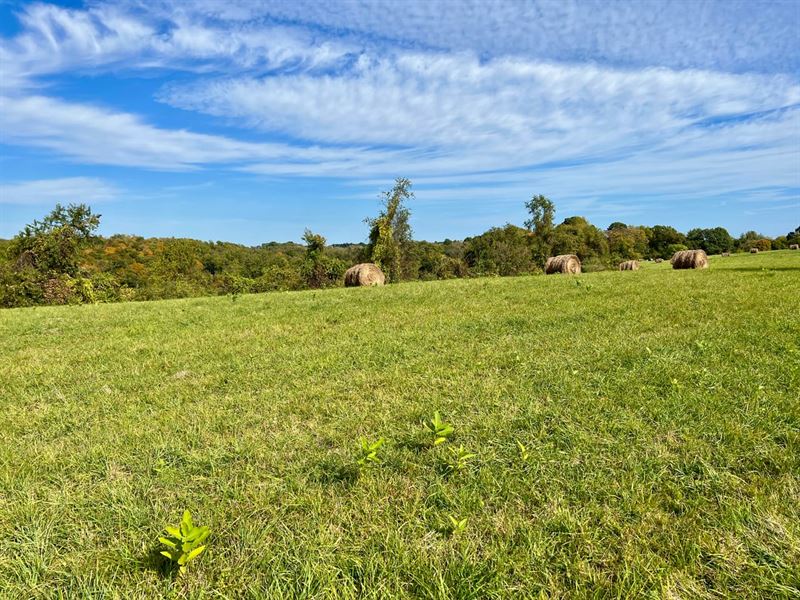 Ridge Rd, Washington County, 16 : Brownsville : Washington County : Pennsylvania