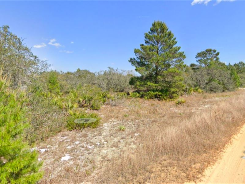 Avon Park Lakes Land for Sale : Avon Park : Highlands County : Florida