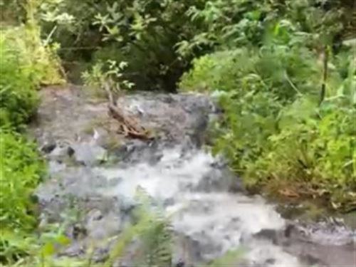 Mountain Home 17 Acres & Waterfalls : El Guarco : Costa Rica