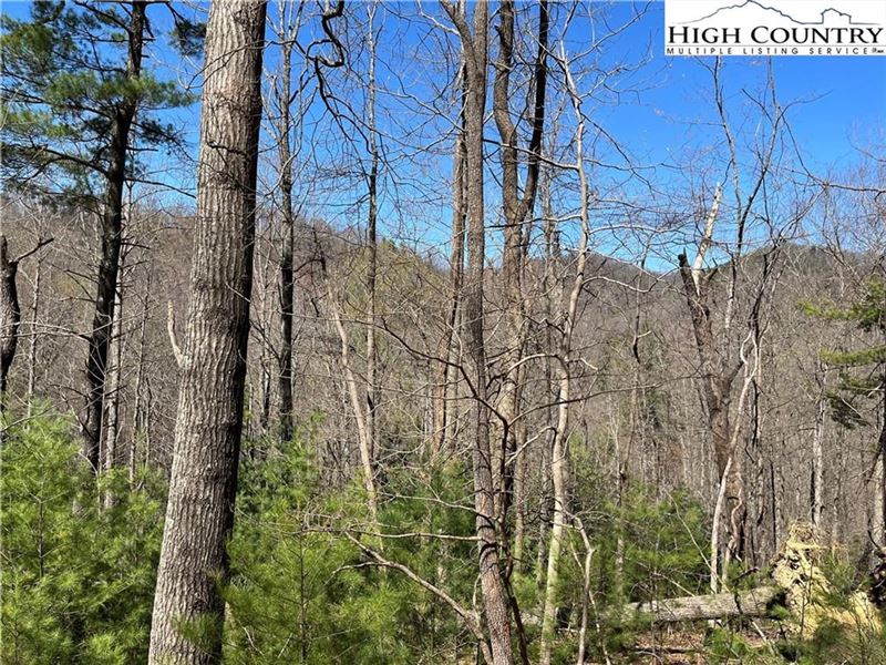 3.09 Acres, Sleepy Creek Trail : Deep Gap : Watauga County : North Carolina