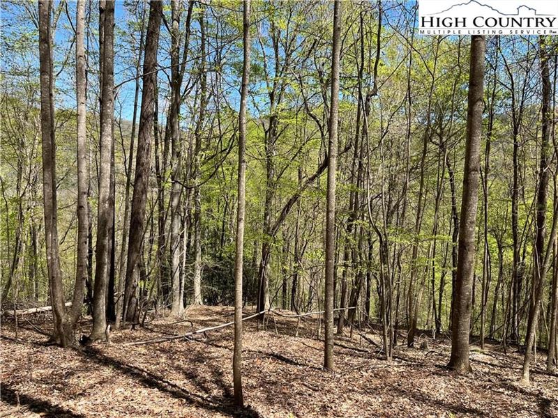 3.30 Acres, Lot 113 Avalon Way : Deep Gap : Watauga County : North Carolina