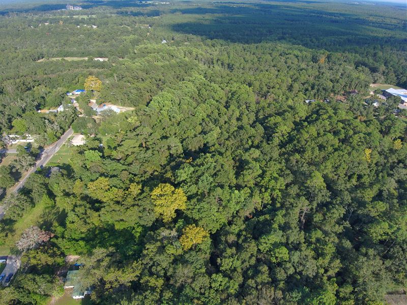 Mobile Homes Allowed, Power Nearby : Defuniak Springs : Walton County : Florida