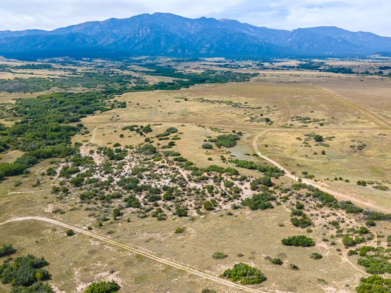 Snatch This Beauty in Pueblo County : Colorado City : Pueblo County : Colorado