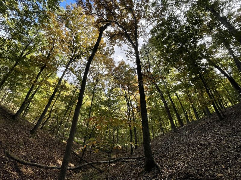 Ventris 14 : Garfield : Benton County : Arkansas