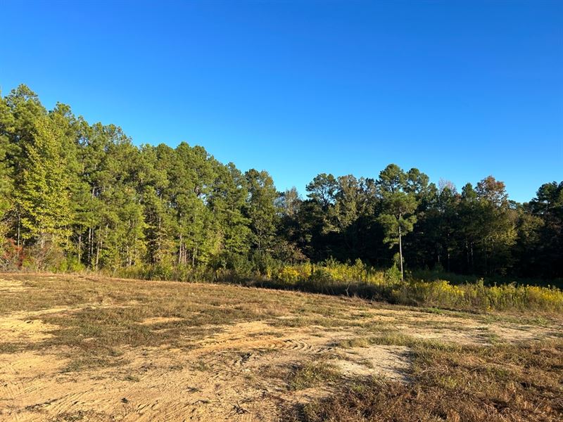 9.95 Acres with A Cabin in Jefferso : Union Church : Jefferson County : Mississippi