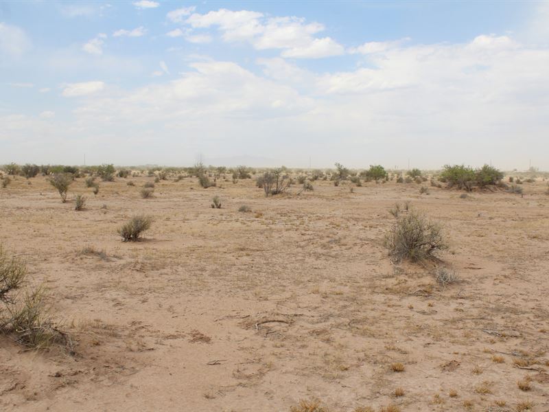 Step Away From Rental Agreements : Deming : Luna County : New Mexico