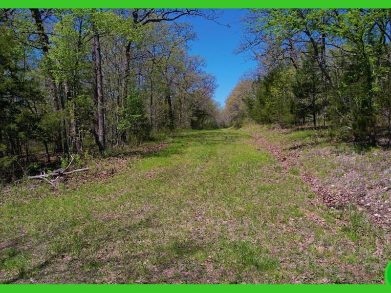 2.74 Acres Missouri Wooded Land : Edwards : Benton County : Missouri