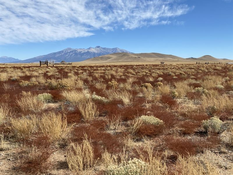 Affordable 5 Ac CO Land with Access : Blanca : Costilla County : Colorado