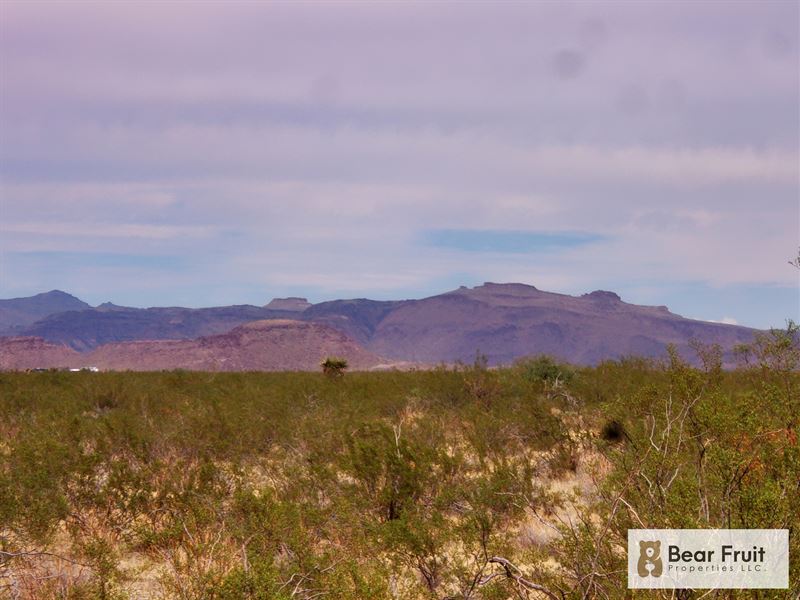 Starry Nights, Off-Grid Delights : Golden Valley : Mohave County : Arizona