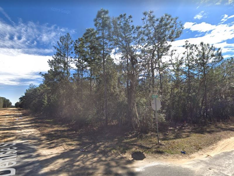 Great Corner Lot for Building : Interlachen : Putnam County : Florida