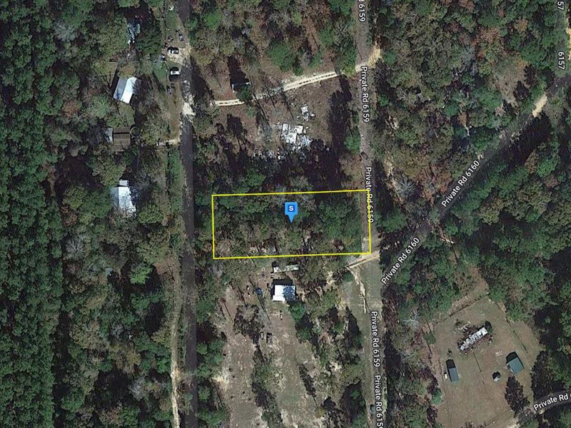 .57 Acre in Tyler County, TX : Woodville : Tyler County : Texas