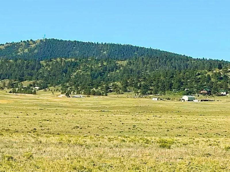RV Friendly, Gravel Road Access : Hartsel : Park County : Colorado