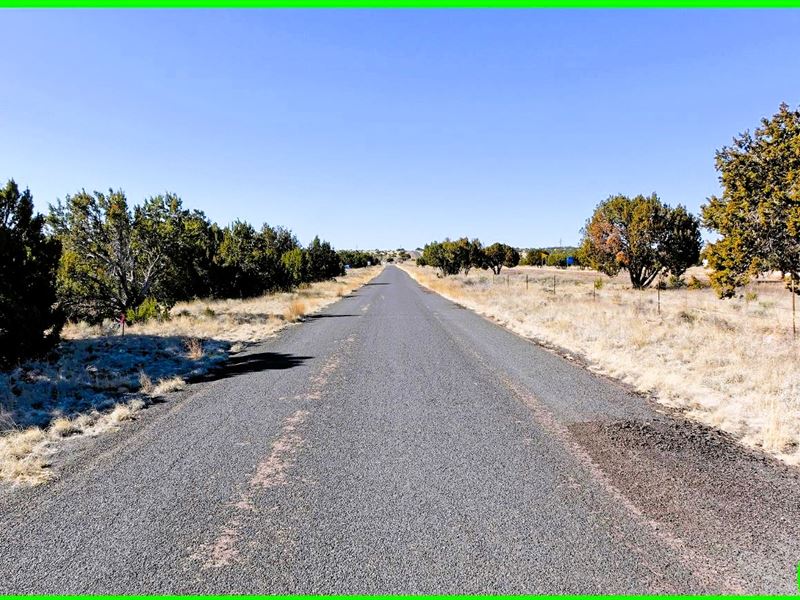 .46 Acre in Concho, Arizona : Concho : Apache County : Arizona