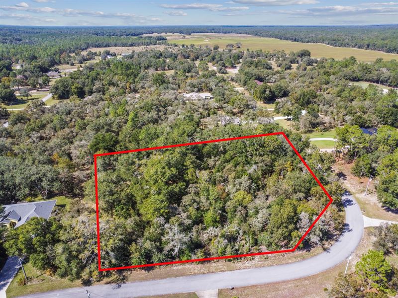 Lot 11 SW 65th Loop, Dunnellon : Dunnellon : Marion County : Florida